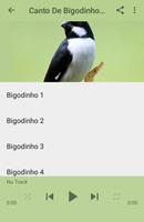 3 Schermata Canto De Bigodinho