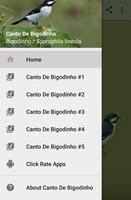 Poster Canto De Bigodinho