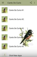 Canto De Curio स्क्रीनशॉट 1