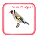 Canto De Jilguero Reclamo ícone