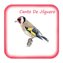 Canto De Jilguero Reclamo aplikacja