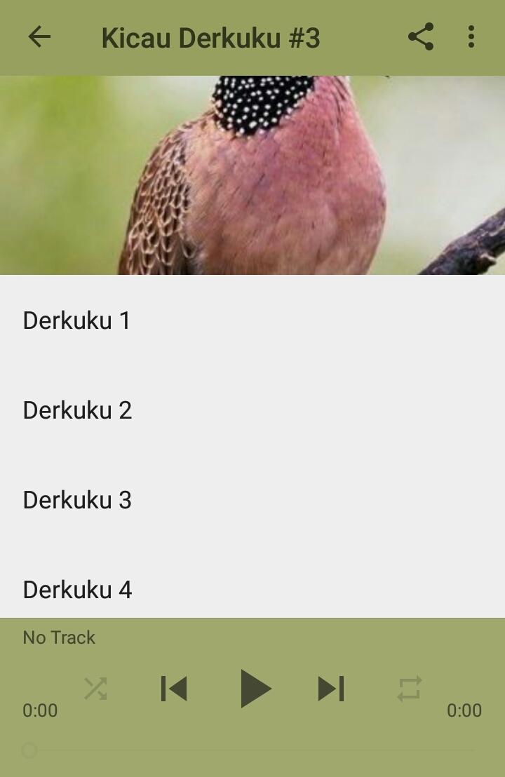 Suara Burung Derkuku Tekukur Youtube