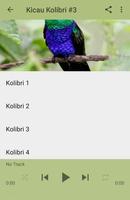 Kicau Kolibri Ngerol Nembak capture d'écran 3