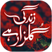Zindagi Gulzar Hai
