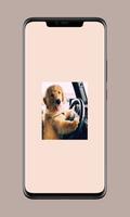 cute dog wallpaper syot layar 1