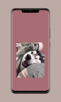 cute dog wallpaper syot layar 3