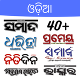 Odia News Paper icône