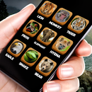 Animal sounds - real voices of animals and birds APK