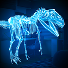 HoloLens Skeleton Dinosaurs 3D icon