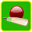 Champion Cricket Quiz APK