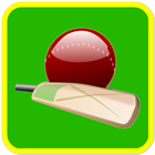 Champion Cricket Quiz 圖標