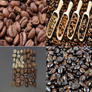 Learn Roasting Coffee APK