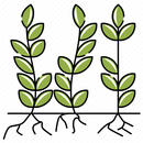 Crop Loss GT 2023 APK