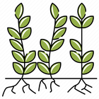 Crop Loss GT 2023 icon
