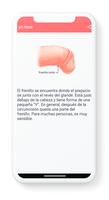 Anatomia del Pene screenshot 2