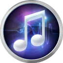 Radio & Media Player APK