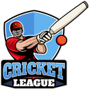 3D Cricket Game : World Championship WorldCup Game APK