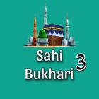 Sahih Bukhari Shareef Vo. 3 أيقونة