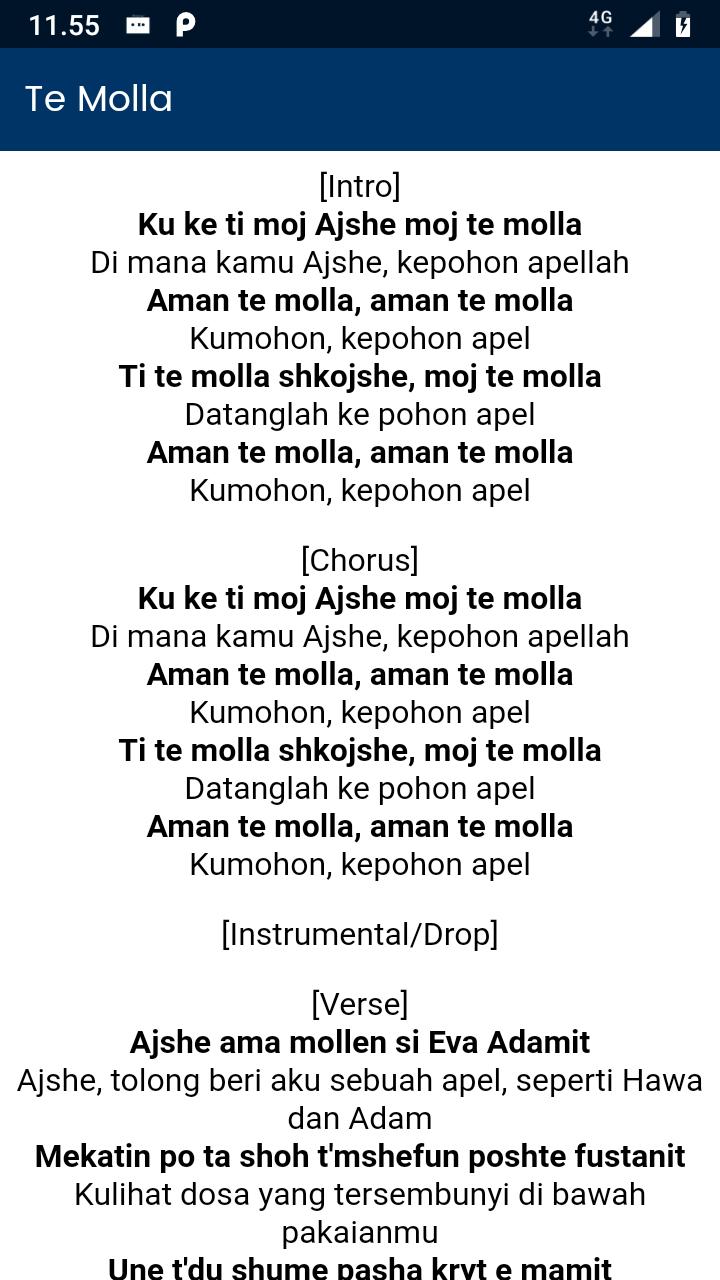 DJ TE MOLLA FULL BASS COMPLETE OFFLINE MP3 LYRIC APK for Android Download