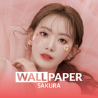 SAKURA HD Wallpaper biểu tượng