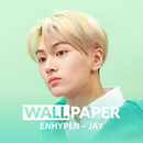 JAY (ENHYPEN) HD Wallpaper APK