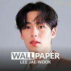 Lee Jae-wook HD Wallpaper icône