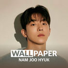 Nam Joo Hyuk HD Wallpaper ikona