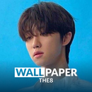 THE 8 (Seventeen) HD Wallpaper APK