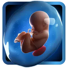 Descargar XAPK de PregApp - 3D Pregnancy Tracker