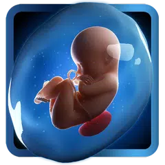 PregApp - 3D Pregnancy Tracker XAPK download
