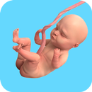 Pregnant Mother Family Game 3D APK