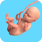 Pregnant Mother Family Game 3D icon