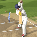 Cricket Bat Ball Game 3D 2024 APK