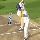 Cricket Bat Ball Game 3D 2024 icon