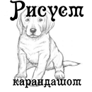 Рисуем карандашом APK