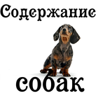 Содержание собак icono