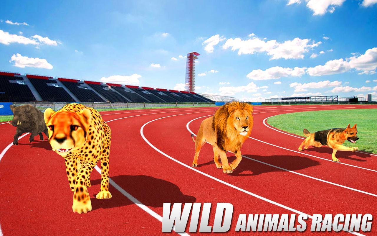 Animal race. Энимал рейсинг. Animals Race. Wild animal Racing. Race Aslan.
