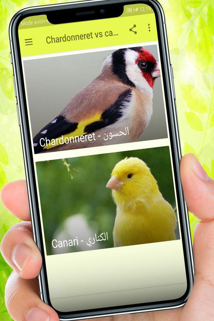 Chardonneret vs canari -sans internet- APK pour Android Télécharger