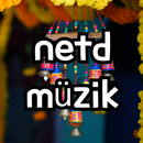 netd müzik - turkish music APK