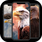 Eagle Wallpaper 4k icon
