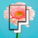 Pictominoes Free APK