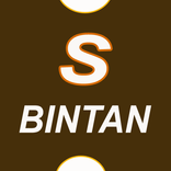SALSA BINTAN Video Offline