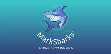 Class 8th - Marksharks