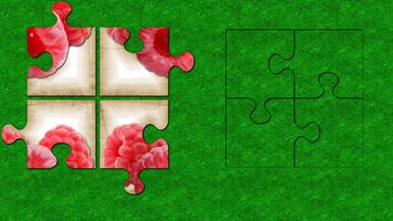 Puzzle ảnh chụp màn hình 2