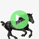 Old Town Rod - Offline APK