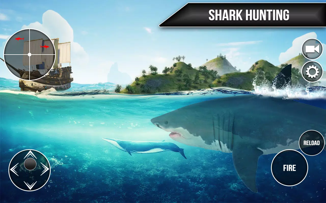 Amazing Shark Hunting APK for Android Download