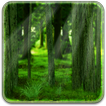 RealDepth Forest Free LWP