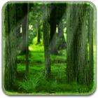 RealDepth Forest Free LWP icône