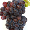 Fonds d'écran Grapes Fruits HD