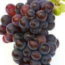 Grapes Fruits HD Theme Wallpapers APK